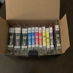 Printer Ink 250xl and 251 xl